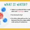 Water: The Universal Solvent - Image 3